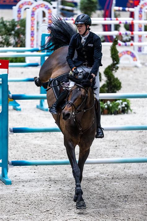 csi saut hermes|Live Stream .